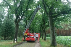 Die Drehleiter im Einsatz.