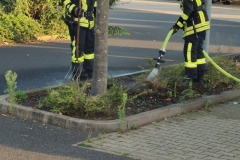 Löscharbeiten am brennenden Beet.