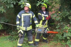 Mit speziellem Gerät wurde die Baumfällung in der Bürgermeister-urban-Straße unterstützt.