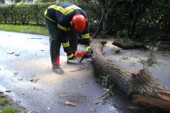 Bei allen Einsätzen wurden, wie hier in Eitze, Kettensägen eingesetzt.