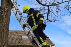 Ein beherzter Griff langte um die Katze zu retten.