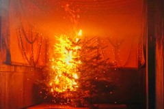 Brandversuch mit einem Weihnachtsbaum in einem Brandübungscontainer.