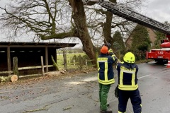 Ein großer Ast wurde durch Feuerwehr und Landesstraßenmeisterei entfernt.