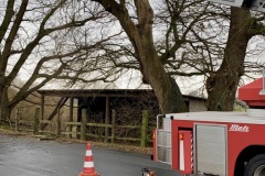 Ein großer Ast wurde durch Feuerwehr und Landesstraßenmeisterei entfernt.