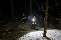 Einsatzkräfte bei der Personensuche im Verdener Stadtwald.