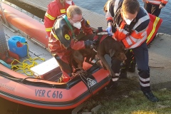 Mit Hilfe eines Bootes konnten die Einsatzkräfte den Hund retten.
