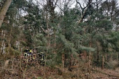 Abgebrochener Baum in der Eisseler Straße.