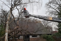 Baumbeseitigung über die Drehleiter der Ortsfeuerwehr Verden.