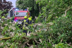 Ein größerer Ast versperrte die Fahrbahn in der Siemensstraße.