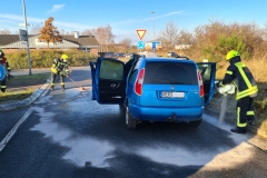 Auslaufender Kraftstoff wird aufgenommen.