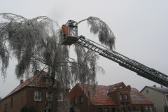 Das Gewicht der eisüberzogenen Äste machte den Bäumen sichtlich zu schaffen.