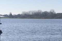 Hochwassersituation an der Aller. Im Hintergrund ist das Schaf zu erkennen.