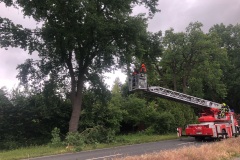 Über die Drehleiter wurden weitere im Baum lose hängende Äste herausgesägt.