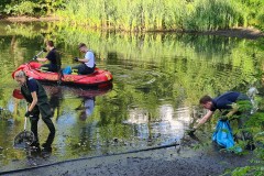 Die Feuerwehr sammelt die Fischkadaver am Mühlenteich ein.