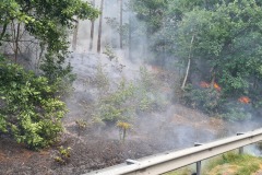 Die Flammen breiten sich in Richtung Wald aus.