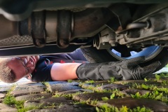 Gutes Zureden half nicht um die Katze aus dem Motorraum zu bekommen.