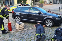 Mit sanftem Wasserstrahl konnte die Katze zum Aussteigen bewegt werden.