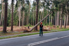 Einsatzstelle B215 im Steinberg.