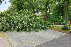 Einsatzstelle Carl-Hesse Straße.
