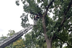 Arbeiten von der Drehleiter aus.