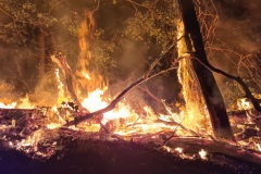 Situation bei Eintreffen der Feuerwehr.