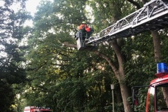 Über die Drehleiter wurde der im Baum hängende Ast beseitigt.