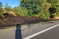 Grünfläche und Buschwerk brannten im Seitenraum der Autobahn.