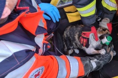 Die gerettete Katze wird von Feuerwehr und Rettungsdienst mit Sauerstoff versorgt.