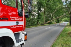 Mithilfe einer Seilwinde wurde der schiefstehende Baum niedergezogen.