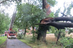 Erhebliche Beschädigungen an einer Eiche nach Gewitterschauer.