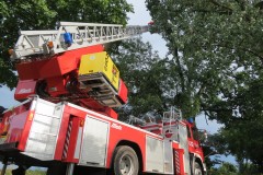 Der Baum wurde stückweise über die Drehleiter abgetragen.