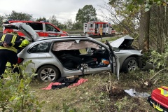 Der auf der BAB27 verunfallte PKW.