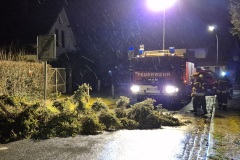 Sturmschaden, umgestürzter Baum, Rosenweg.