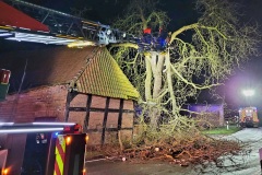 Sturmschaden, Einsatz für die Drehleiter in Hilgermissen.