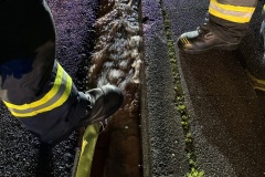 Diverse Keller mussten ausgepumpt werden.