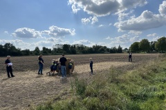 Rundballen schieben auf Zeit. 