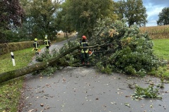 Ein Baum blockierte die Straße Im Dorf. 