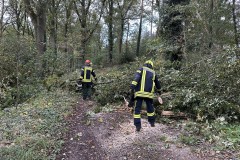 Mehrere Bäume blockierten die Straße Zum Panzenberg. 