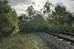 Zwei Bäume sind auf die Bahnstrecke Langwedel/Uelzen gestürzt. 