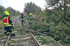 Zwei Bäume sind auf die Bahnstrecke Langwedel/Uelzen gestürzt. 