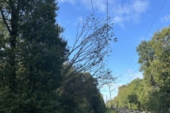 Ein Baum ist auf die Zuleitung der Bahnstrecke Verden/Rotenburg gefallen. 