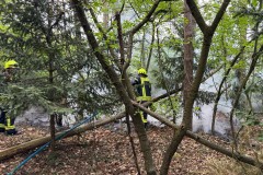 Brennendes Unterholz im Bürgerpark.