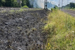 Auf rund 100 Metern brannte der Bahndamm.