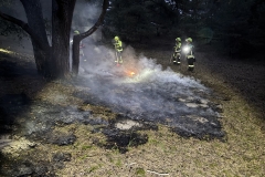 Waldbrand in den Dünen: Situation beim Eintreffen der Feuerwehr.