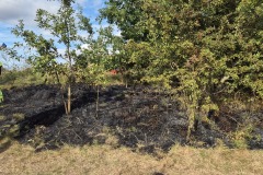 Flächenbrand an der Aller.