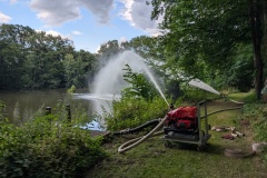 Künstliche Sauerstoffzufuhr am Mühlenteich in Dauelsen.