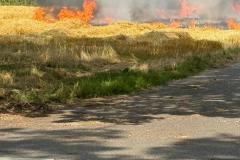 Flammen fressen sich über das Feld (Foto: Privat)