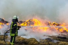 Mitmachen als Erwachsener - Die Einsatzbeitlung ist genau das richtige.